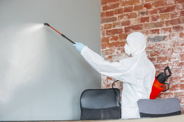 Best Comprehensive Air Testing for Mold Contaminants  in Nroe City, MO