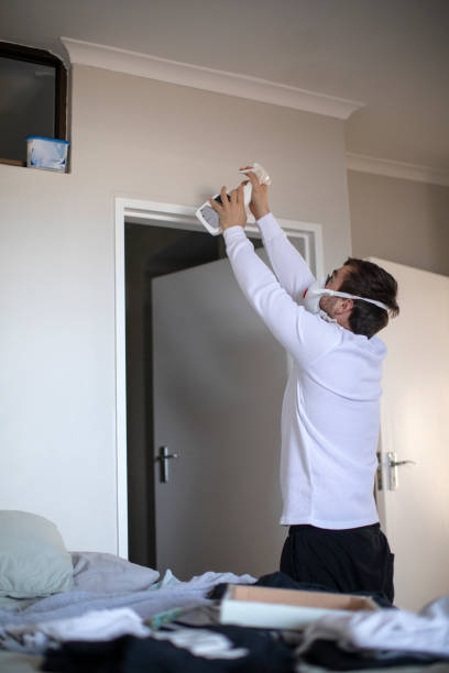Best Air Quality Testing for Mold Spores  in Nroe City, MO