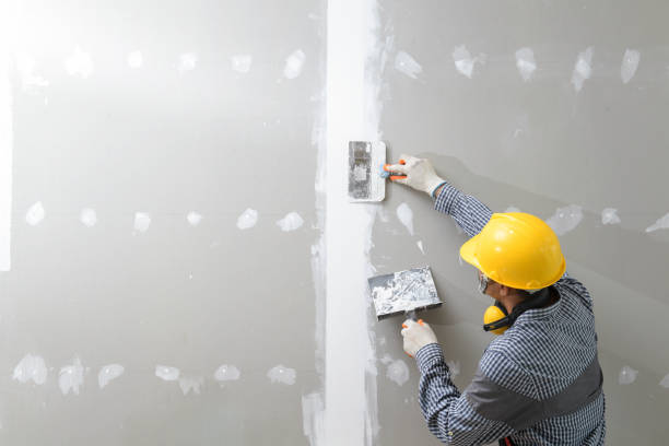 Best Real Estate Mold Inspection  in Nroe City, MO