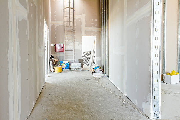 Best Black Mold Removal  in Nroe City, MO