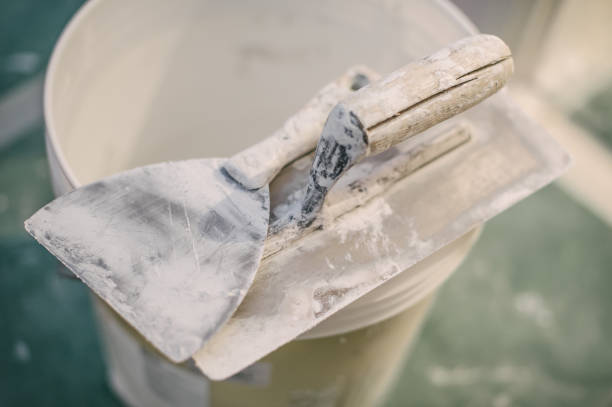 Best Environmental Consulting for Mold Prevention  in Nroe City, MO